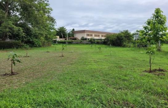 �ҧ�� �� northern1