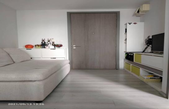 �ҡ��� �� ��