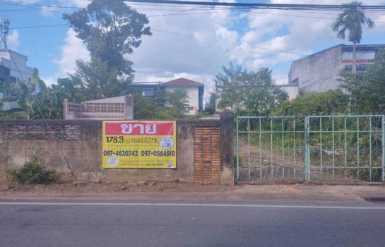 ������ �� zionasset1