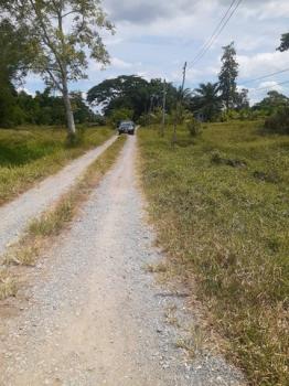 �ҡ �� zionasset1