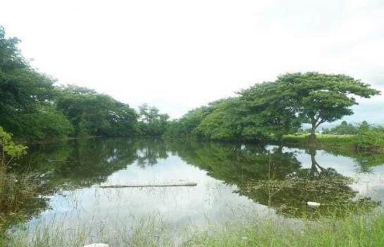 �ѹ��ᾧ �� northern1