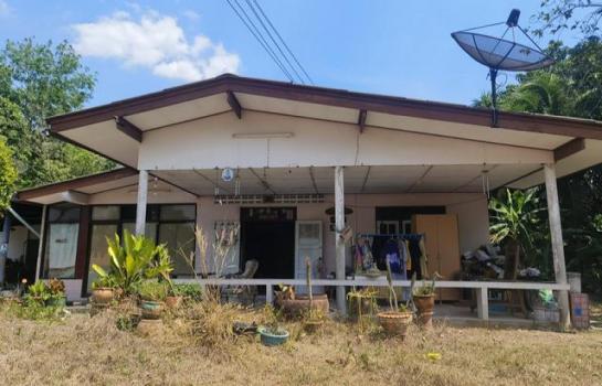 ��º�ҹ ���ͧ��Ҵ ��Ҵ