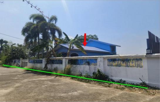 ��º�ҹ ���ͧ��Ҵ ��Ҵ