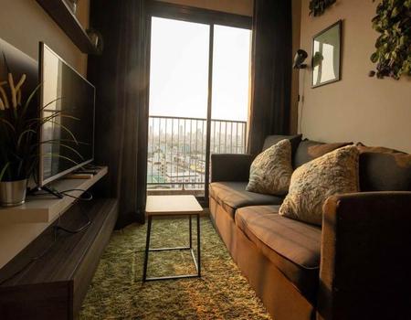 ���¢�ҧ �� incube