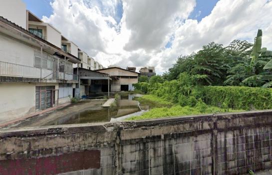 �ҧ������ �� HarrisonTH