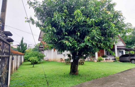 ���ͧ �� �Ѱô�