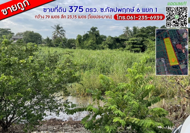 ������ԭ �� lovethaihome101