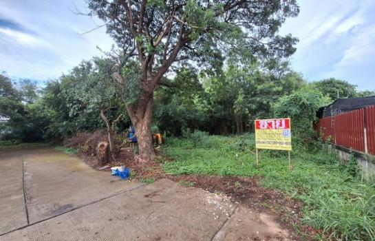 �͹�� �� zionasset1