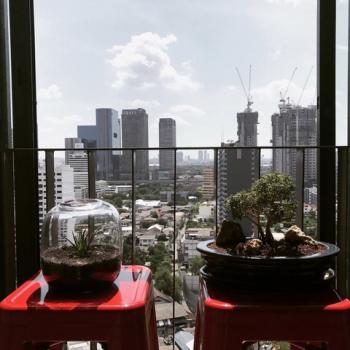 ��بѡ� �� Jyn Property