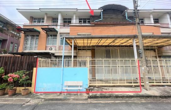 �ط����� �� compos2566