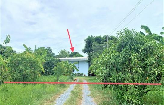 ��ҹ��û�� �� compos2566