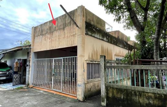 ��ҹ��û�� �� compos2566