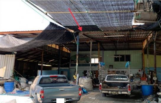 ��º�ҹ �͹�����û��