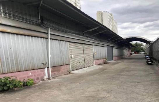 ⡴ѧ��Ш���Թ��� �ѹ�����