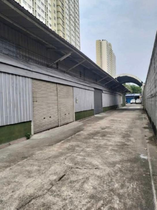 ⡴ѧ���ŴյԴ��� �ѹ�����