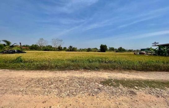 �����ҹ� �� Theproperty