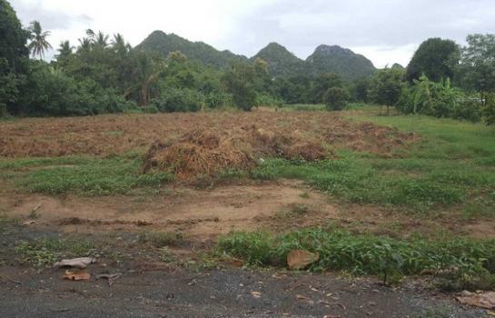 �ҭ������ �� zionasset1