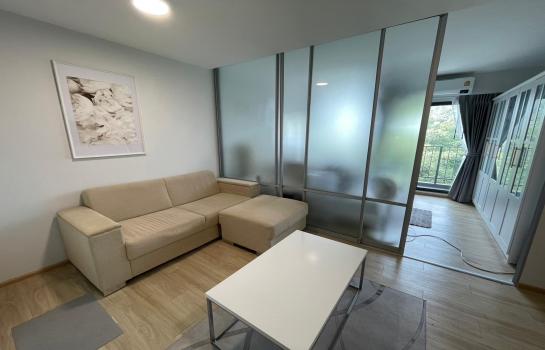 �ҧ�л� �� M Property