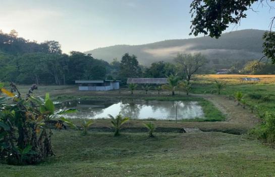 ����͹ �� onanong khumaphao