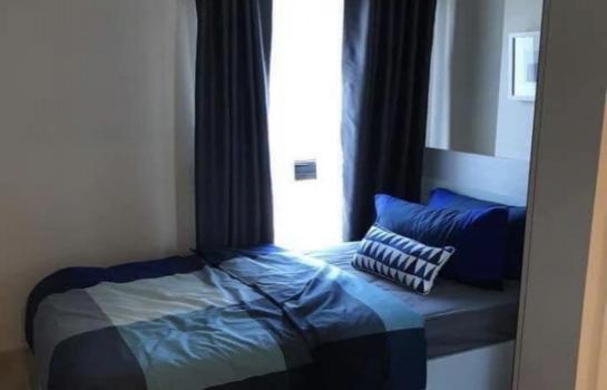 �͹��ҷ� ���¢�ҧ