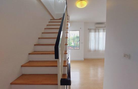 �����¹��� ���˹����ѧ�������Ѿ��