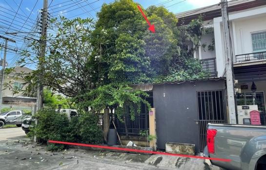 �ط����� �� compos2566