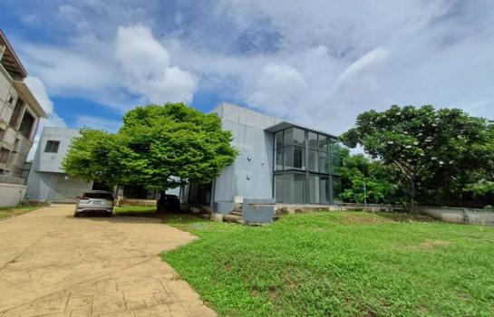 ����Ҵ����� �� asangha PL