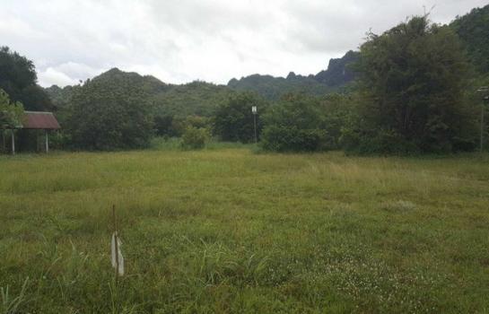 ���¤ �� zionasset1