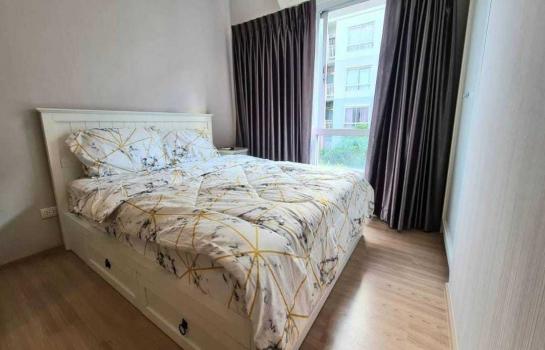 �ҧ�л� �� M Property