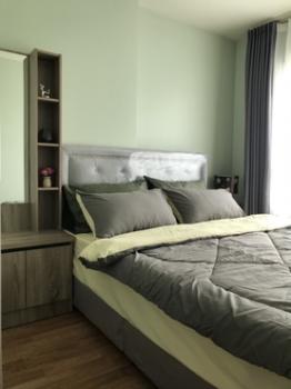 ���ͧ �� M Property