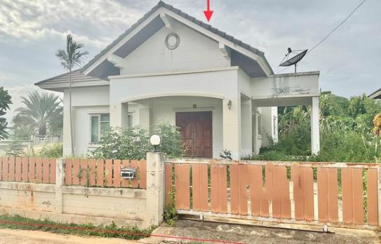 ��ҳ���� �� panaya.opalopal