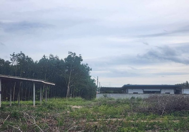 ˹ͧ�˭� �� A House property