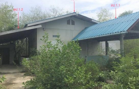 ��ҳ���� �� panaya.opalopal