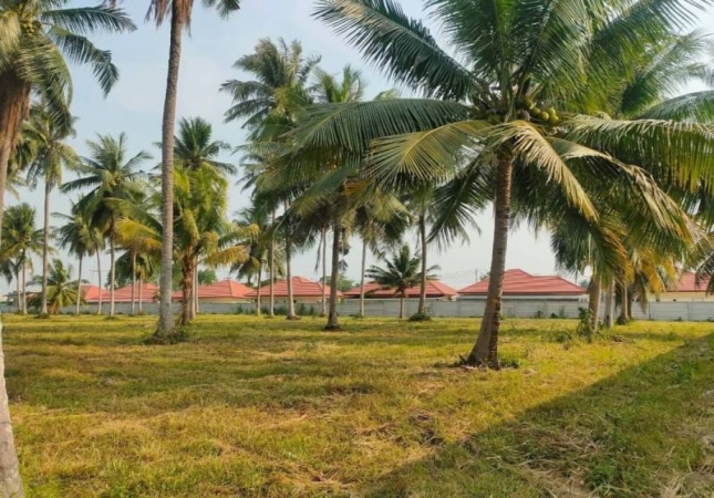 ���ͧ �� A House property