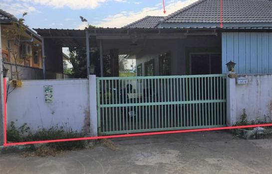 ����Թ �� panaya.opalopal