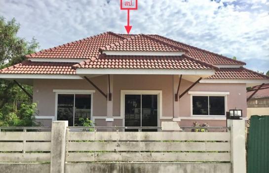 ����Թ �� panaya.opalopal