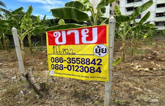 ��ا෾ �� zionasset1