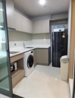 ������ �͹� ��بѡ�