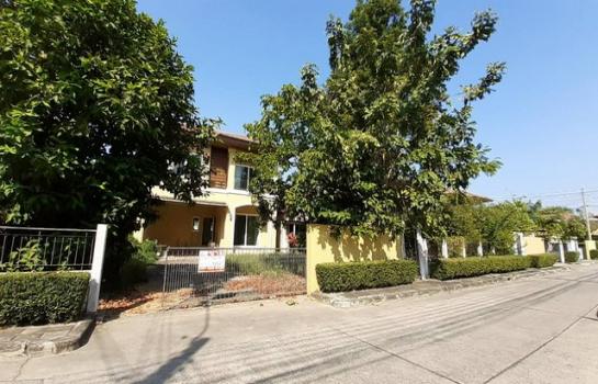 �����¹��� ���˹����ѧ�������Ѿ��