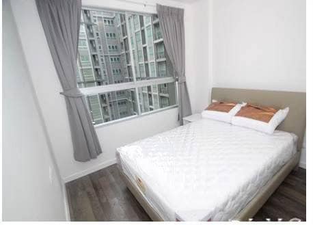 ������ �� samita