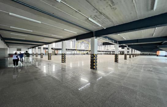 �ҧ�Ź �� Kong property