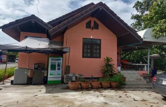 ��ا෾ �� TheEstate78924