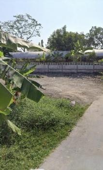 �֧���� �� ��ͼ��