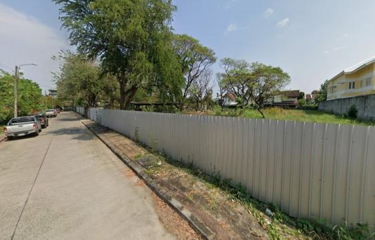 �ѧ�ͧ��ҧ �� HarrisonTH