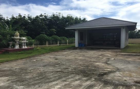 ��º�ҹ �ҡ�� ���