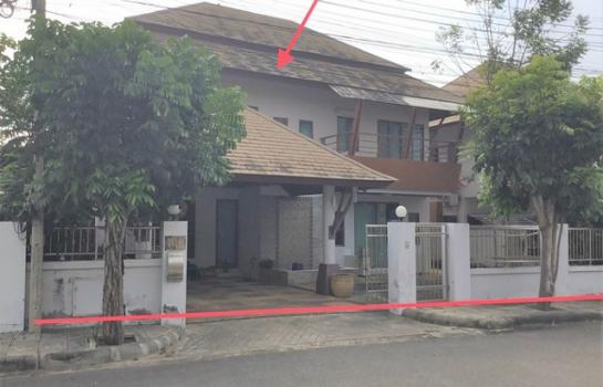 ����Թ �� panaya.opalopal