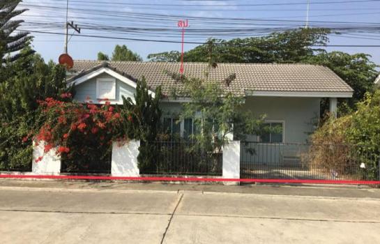 ����Թ �� panaya.opalopal