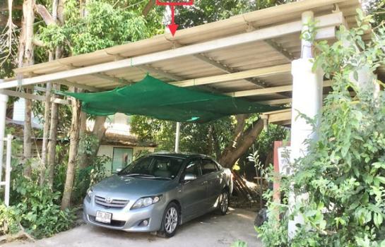 ����Թ �� panaya.opalopal