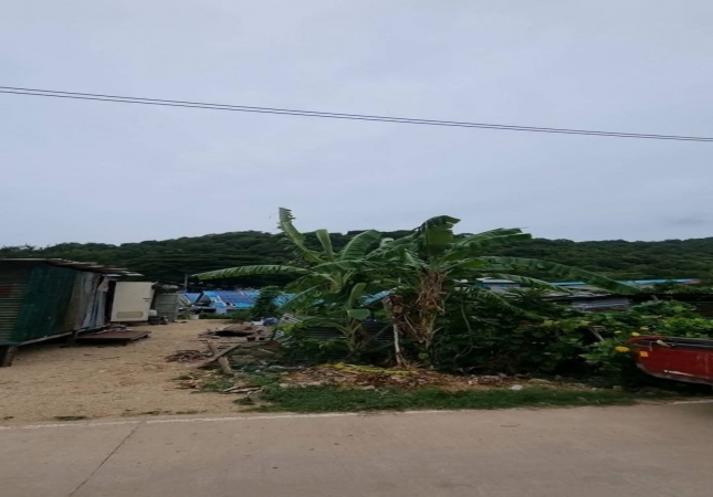 ���ͧ �� A House property