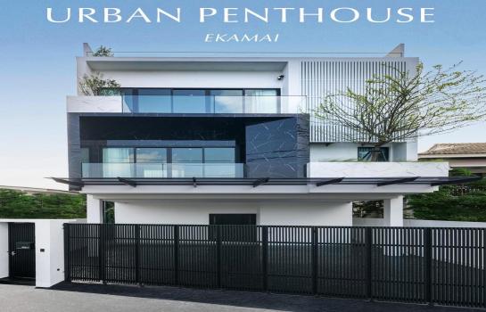 ����Ѳ�� �� �س ��ѳ��